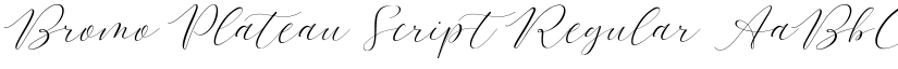 Bromo Plateau Script Regular font