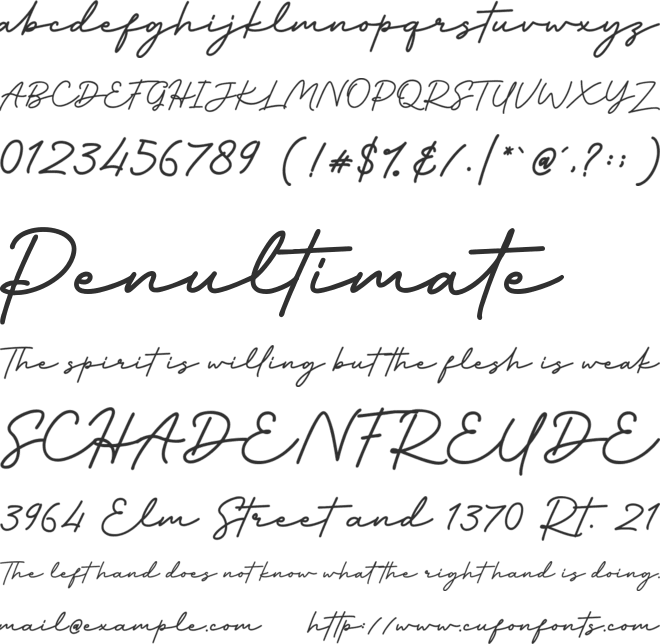 Slowly Signature font preview