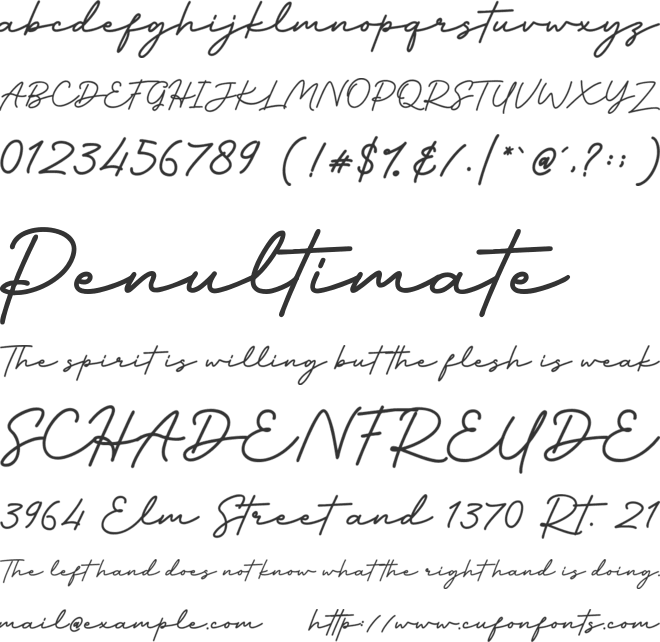 Slowly Signature font preview