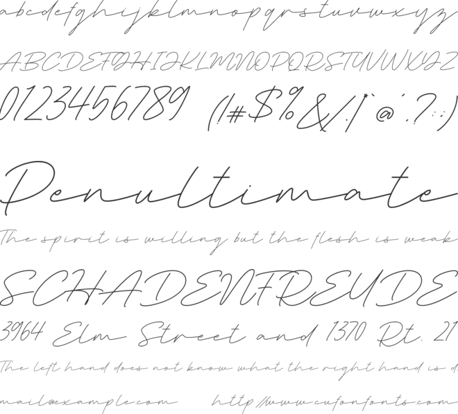Deluna Signature font preview