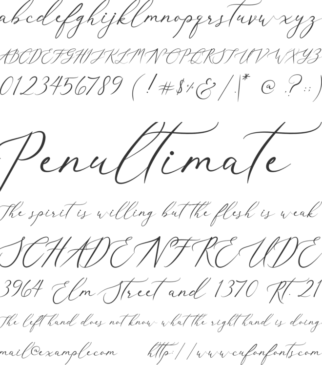 Christmas Cake font preview