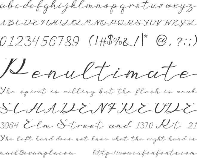Fellisa font preview