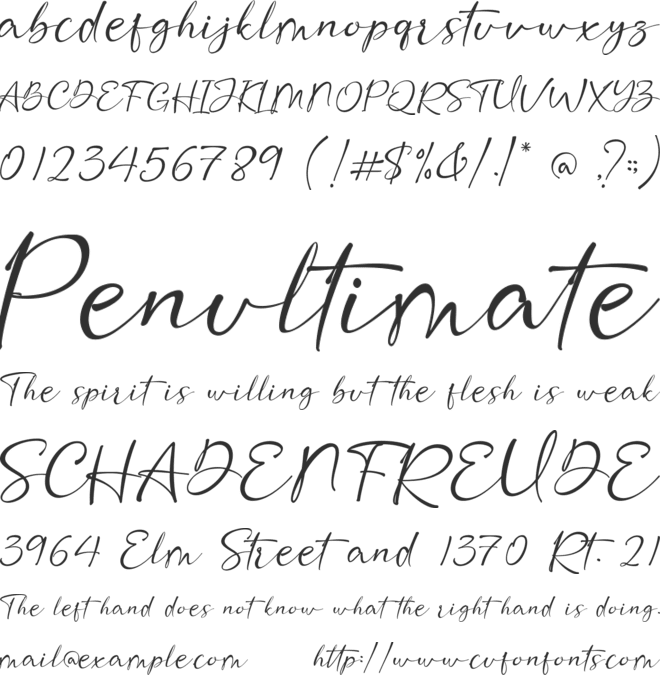 Fifa Cup font preview