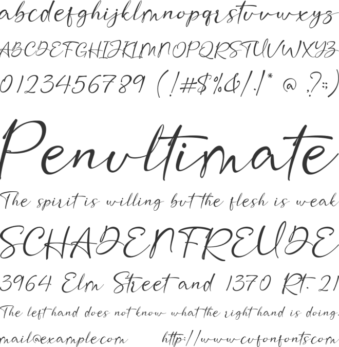 Fifa Cup font preview