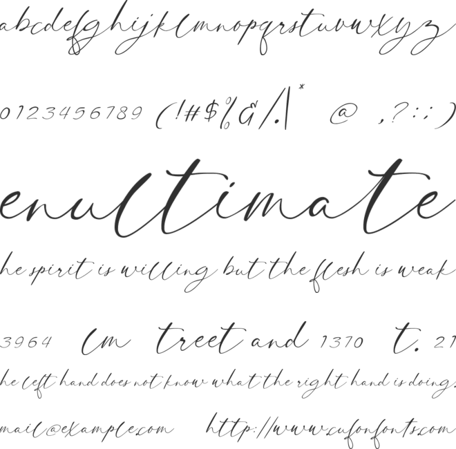 Clinton Signature personal use font preview