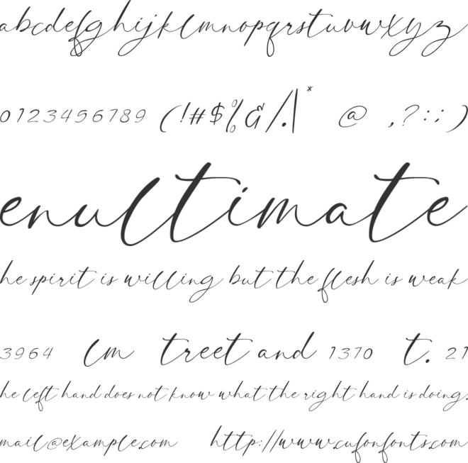 Clinton Signature personal use font preview