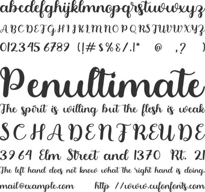 Nietta font preview