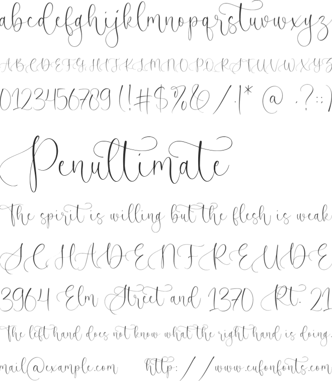 Blueberry Winter font preview