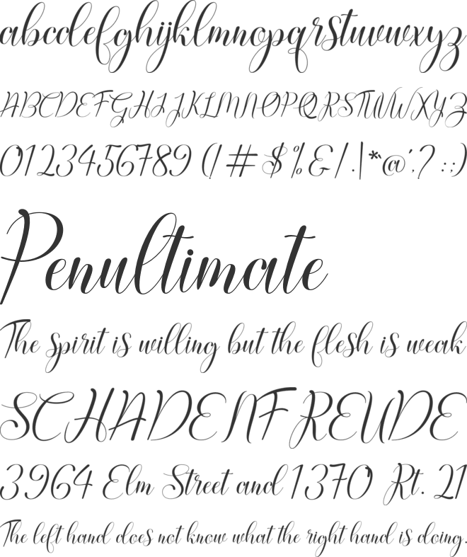 Audacity Script font preview