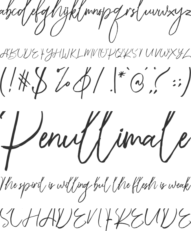 Riclose Script font preview