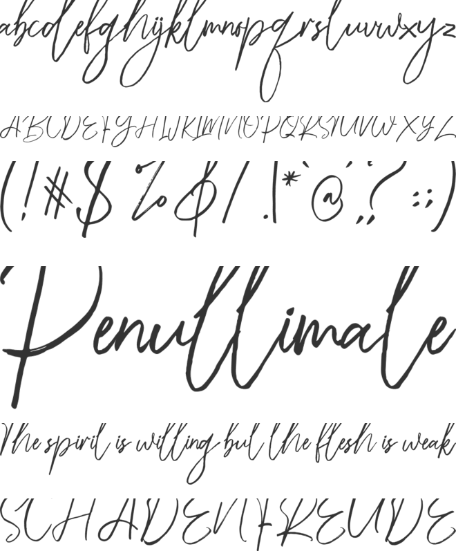 Riclose Script font preview
