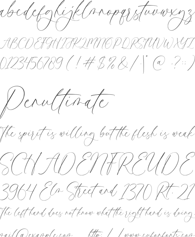 Palmeras font preview