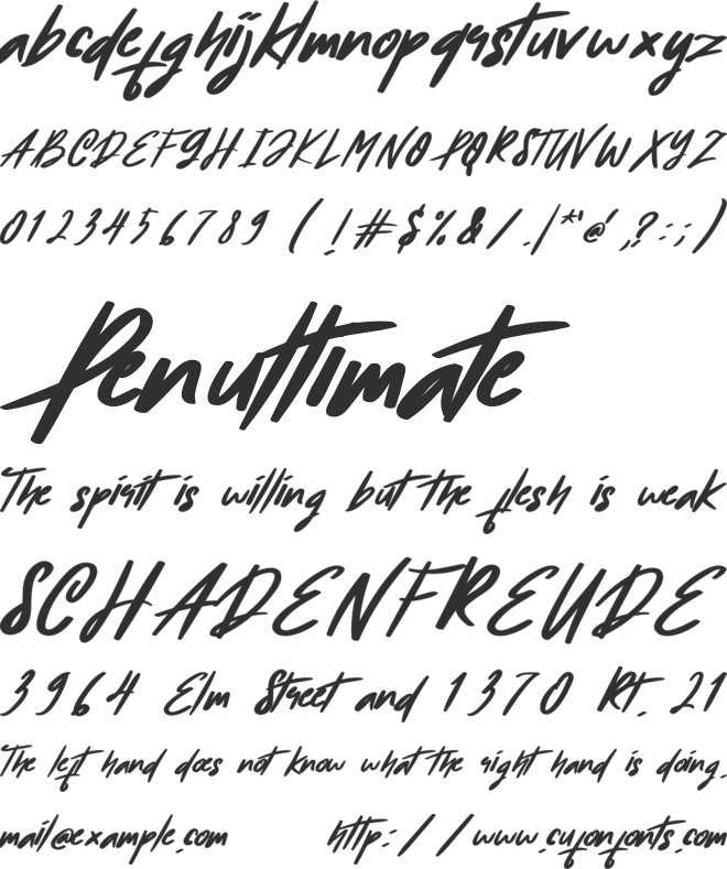 Amazed font preview
