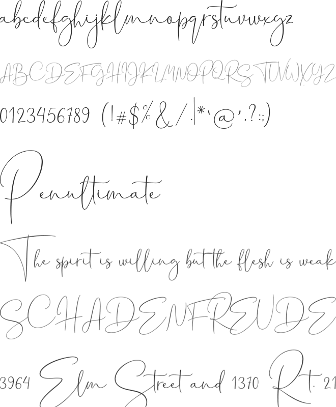 California Signature Script font preview