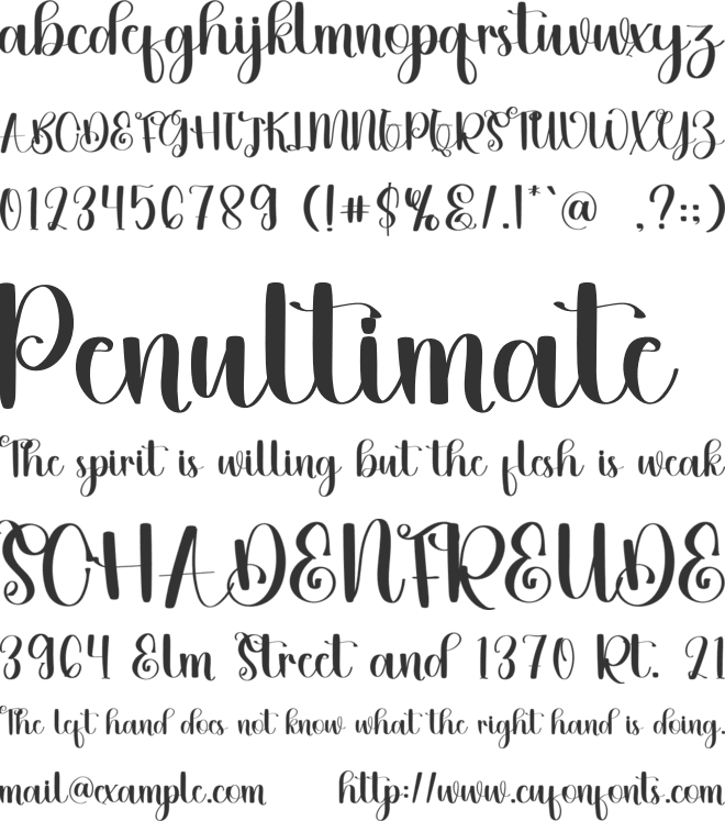 Aminah font preview