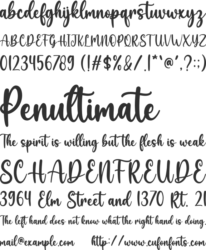 Believe font preview