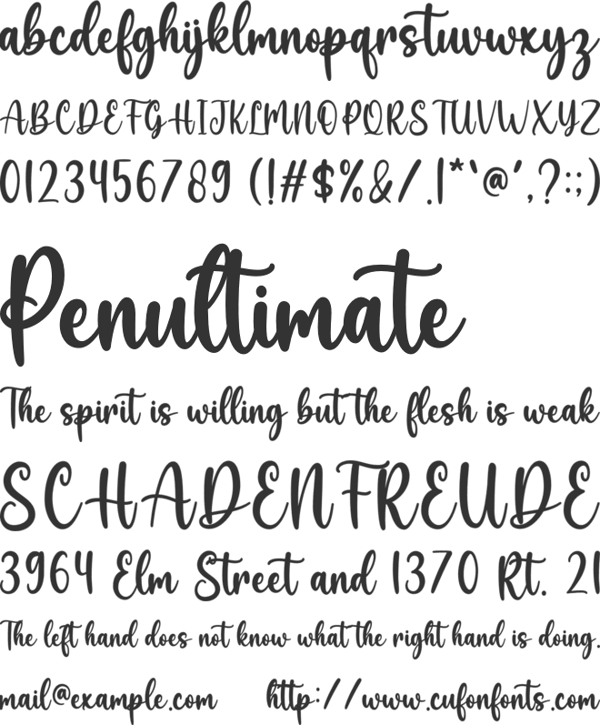 Believe font preview