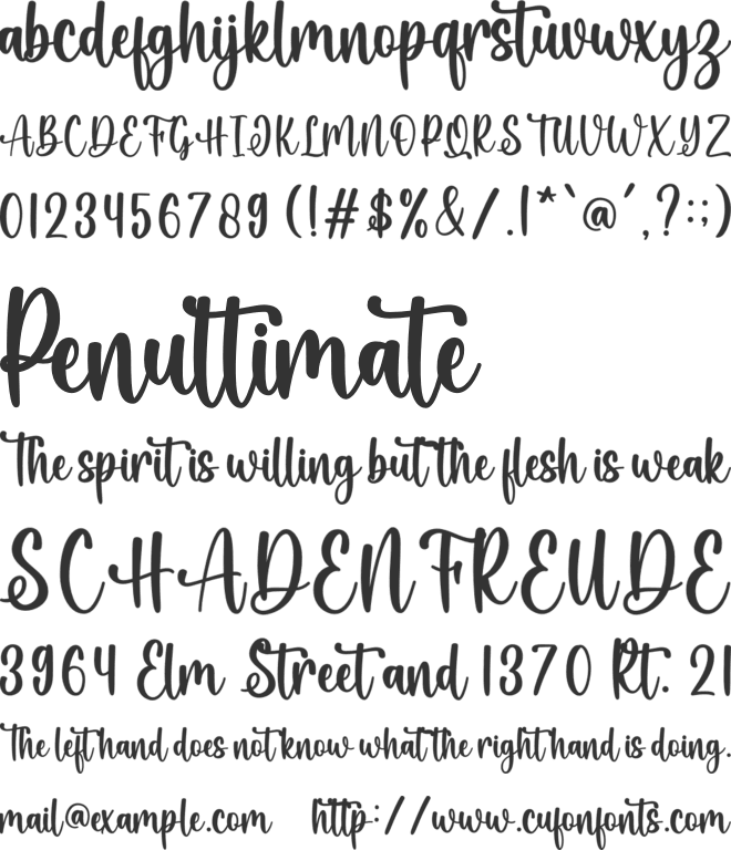 Succulent font preview
