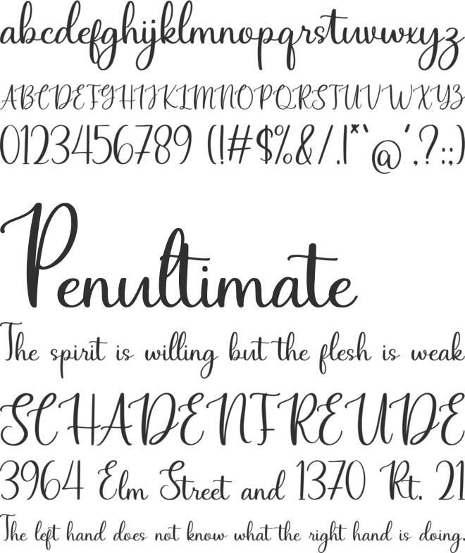 Friday Pon font preview