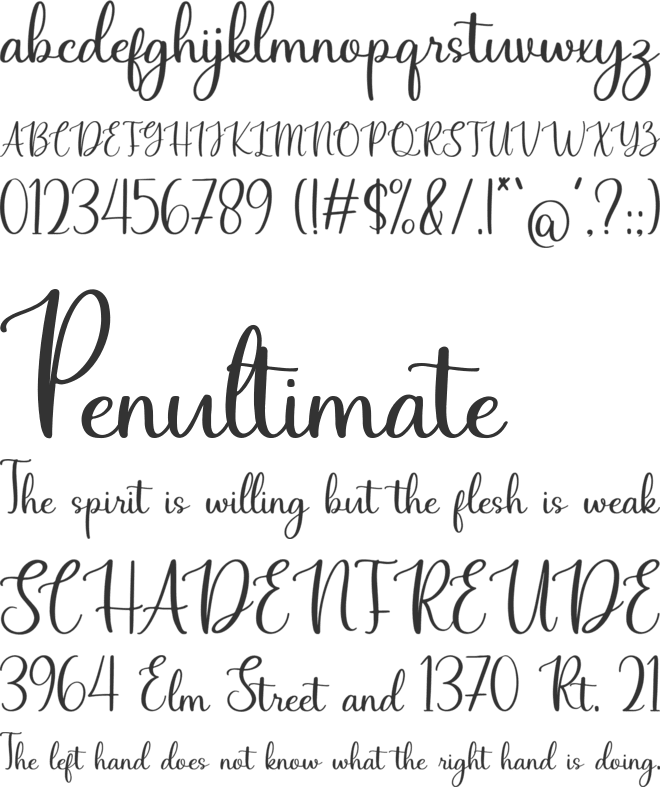 Friday Pon font preview