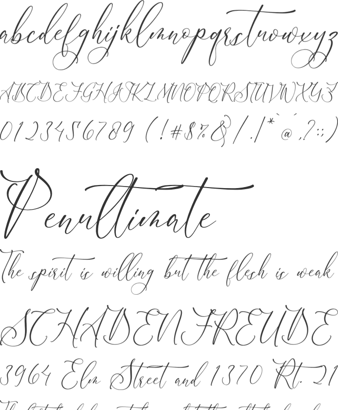 Scarlet Flettcher font preview