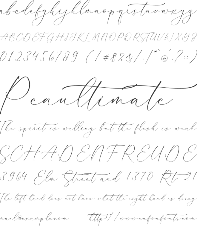 Palmer Corella font preview