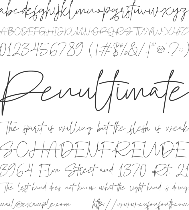 The Southern font preview