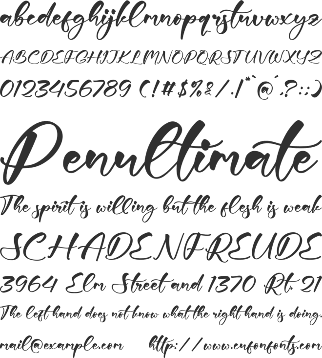 Steinfild font preview