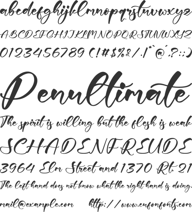 Steinfild font preview