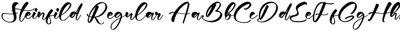 Steinfild Regular font