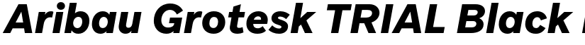 Aribau Grotesk TRIAL Black Italic font