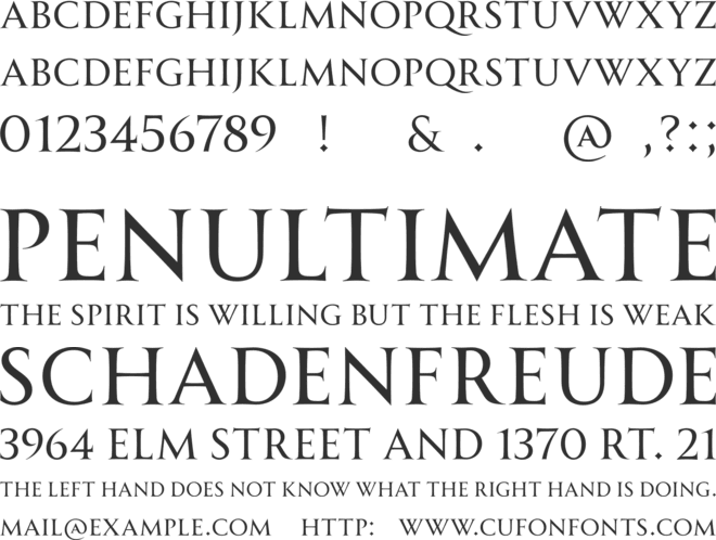 Allrounder Monument Test font preview
