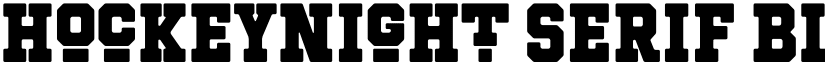 Hockeynight Serif Black font