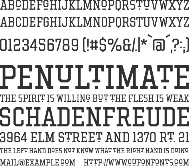 Hockeynight Serif font preview