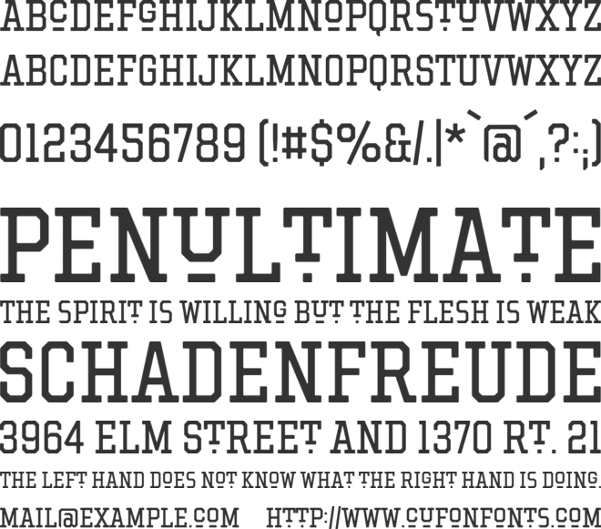 Hockeynight Serif font preview