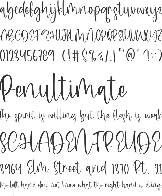 Destiny Bestie font preview