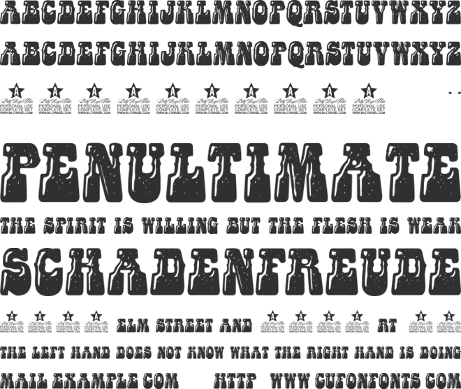 FLASHFRUIT PERSONAL USE font preview