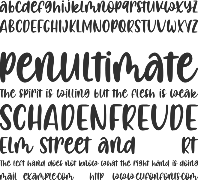 Snowind midnight font preview