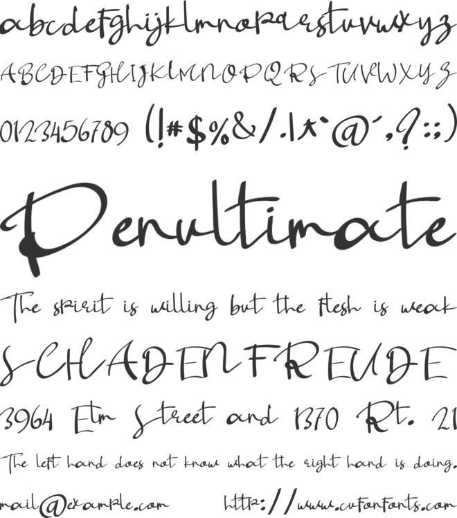 Photograpy font preview