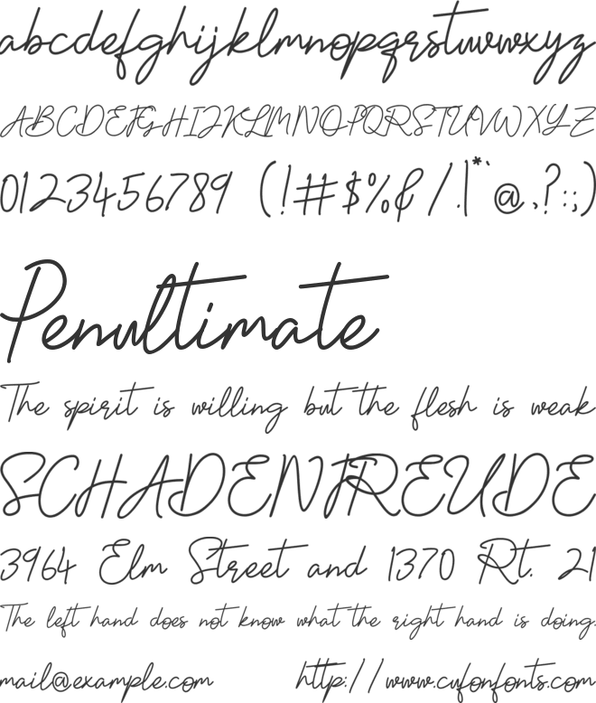 Unique Surfer font preview