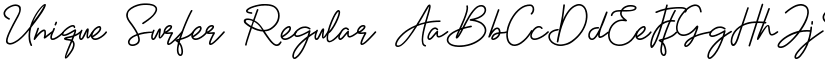 Unique Surfer Regular font
