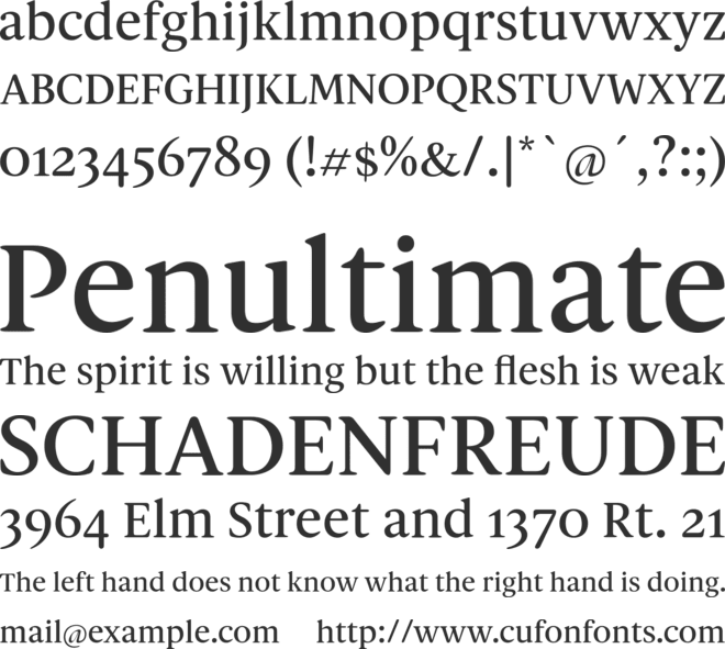 Spaziel Serif Round font preview