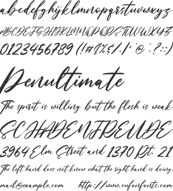 Nastyflashy font preview