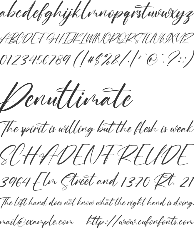 Roche Shirt font preview