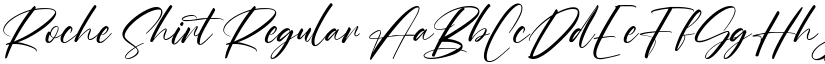 Roche Shirt font download