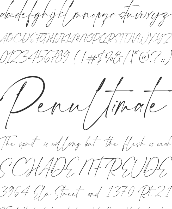 Ponpewd Signature font preview