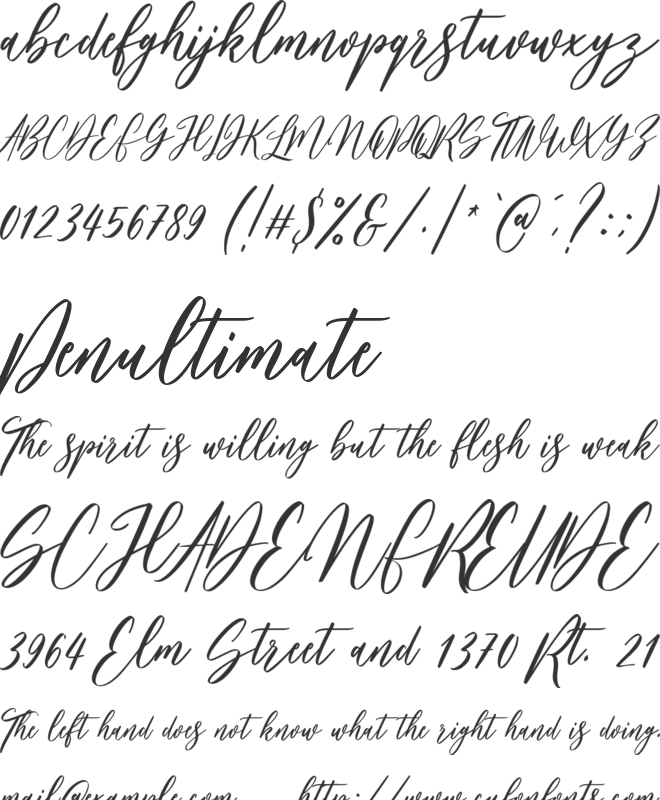 Bankports font preview