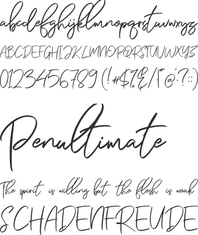 Zelmud Script font preview