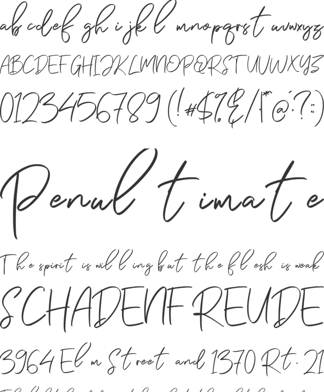 Zelmud Script font preview