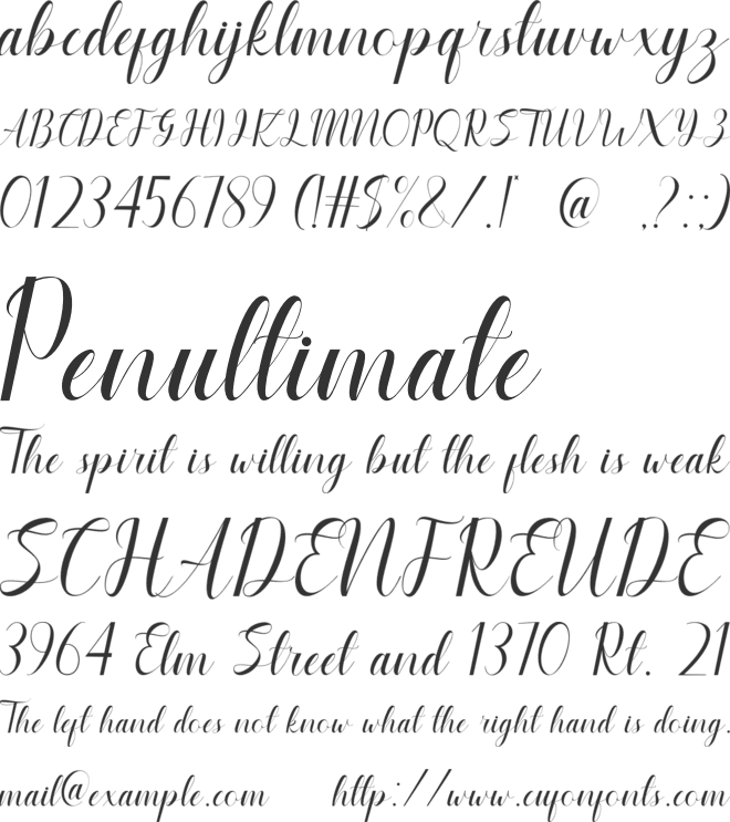 Brigovin font preview